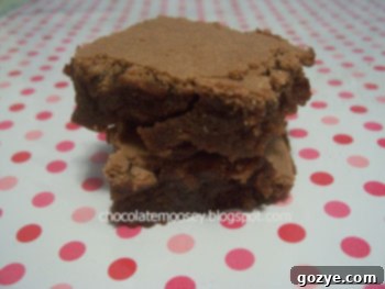 Close-up of a French Chocolate Brownie square, showing its rich, fudgy texture
