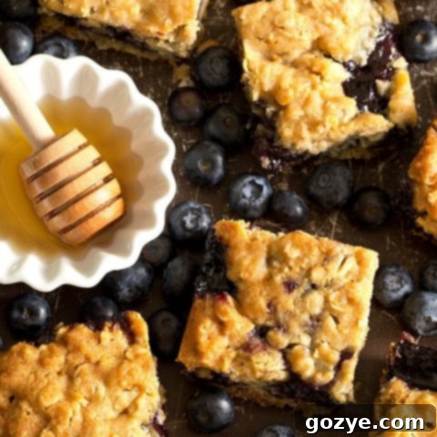 Honey Blueberry Oatmeal Bars