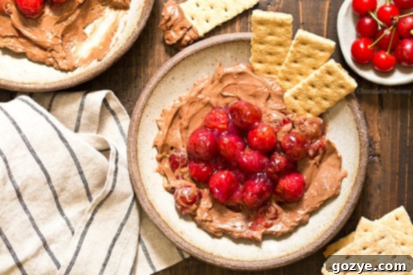 Decadent Chocolate Cherry Cheesecake Dip 3 Close-up of small batch no-bake Chocolate Cherry Cheesecake Dip, showcasing its creamy texture and cherry swirls