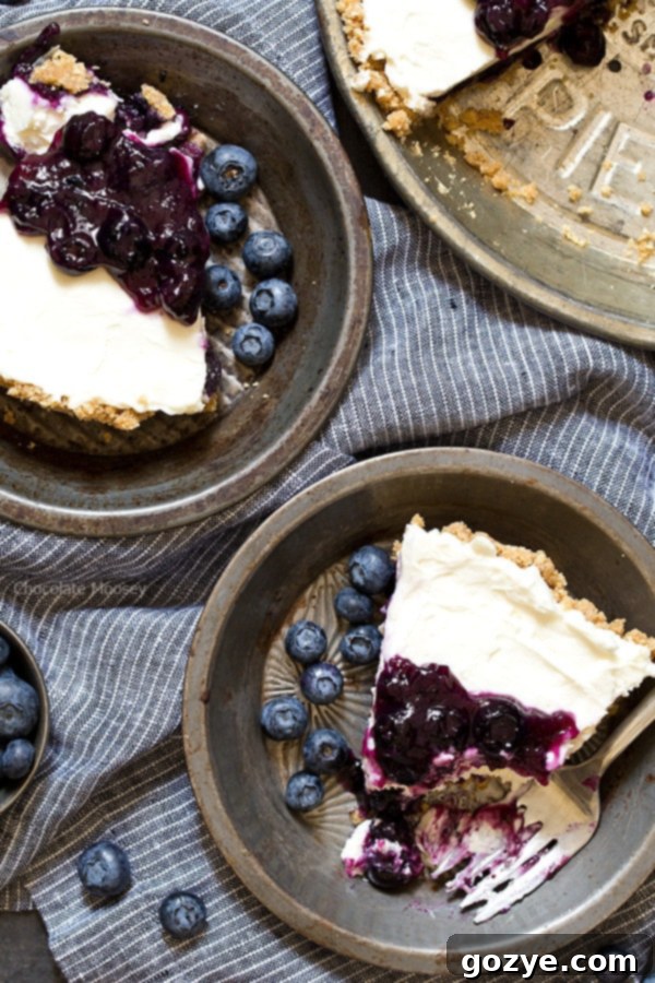 Slices of Blueberry No Bake Cheesecake