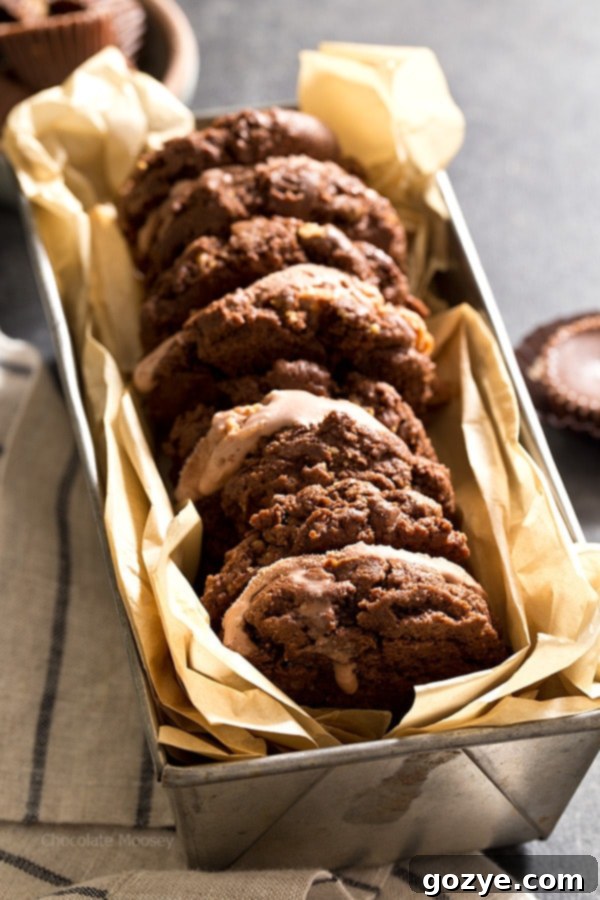 Close-up of an assembled Chocolate Peanut Butter Ice Cream Sandwich showing the cookie and ice cream texture
