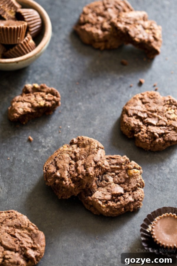 Baked chocolate peanut butter cookies cooling on a wire rack