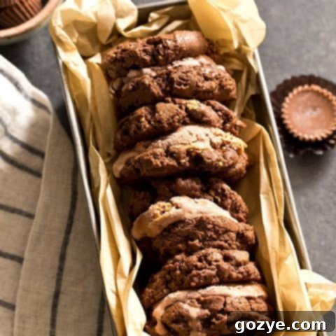 Chocolate Peanut Butter Ice Cream Cookie Sandwiches recipe hero image