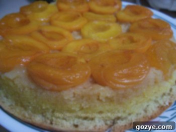 A beautifully baked Apricot Upside-Down Cake with golden caramelized apricots and a tender cake base, presented on a white plate.