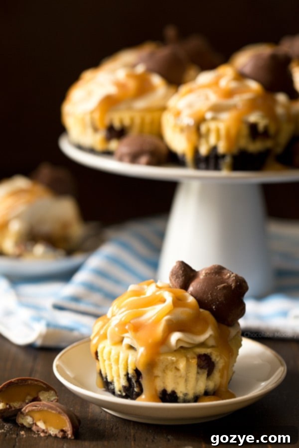 You don't need a reason (other than you're hungry) to enjoy these Mini Caramel Cheesecakes with a chocolate cookie crust, caramel cheesecake filling, caramel whipped cream, and caramel nut clusters.