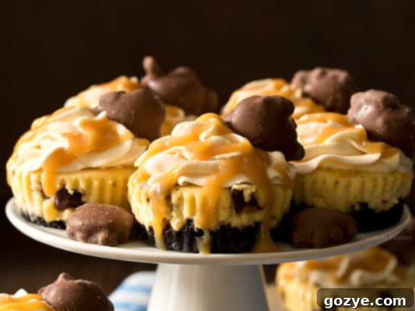 You don't need a reason (other than you're hungry) to enjoy these Mini Caramel Cheesecakes with a chocolate cookie crust, caramel cheesecake filling, caramel whipped cream, and caramel nut clusters.