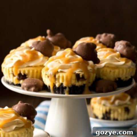 Small Batch Mini Caramel Cheesecakes