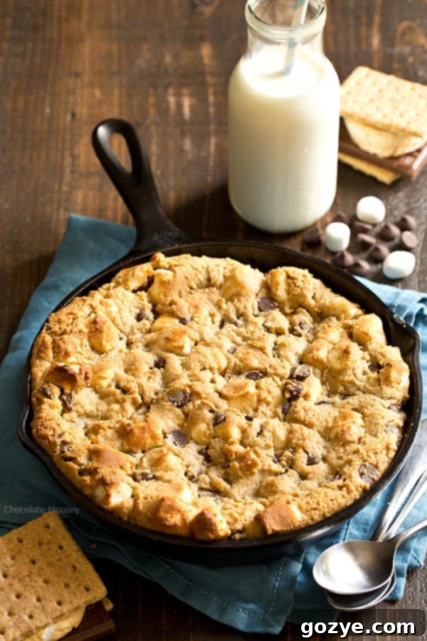 Close-up of a warm Peanut Butter S'mores Chocolate Chip Skillet Cookie, showing melted chocolate and toasted marshmallows, perfect for sharing.