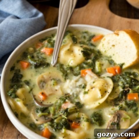 One Pot Spinach Mushroom Dumpling Soup Recipe