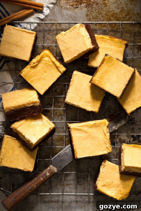 Overhead view of freshly baked pumpkin cheesecake brownies in a pan