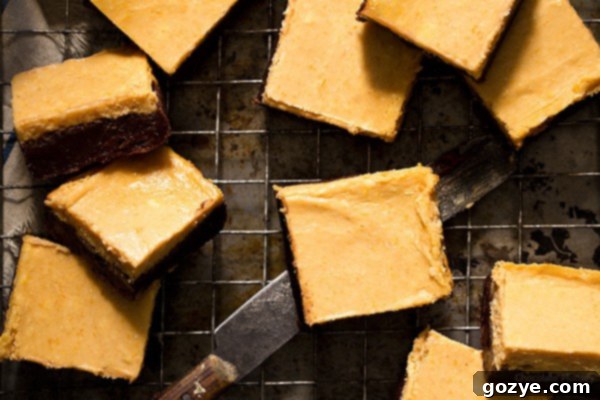 Close-up overhead shot of swirled pumpkin cheesecake brownies