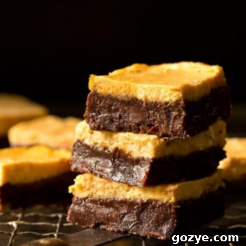 Irresistible Pumpkin Cheesecake Brownies with a swirl pattern
