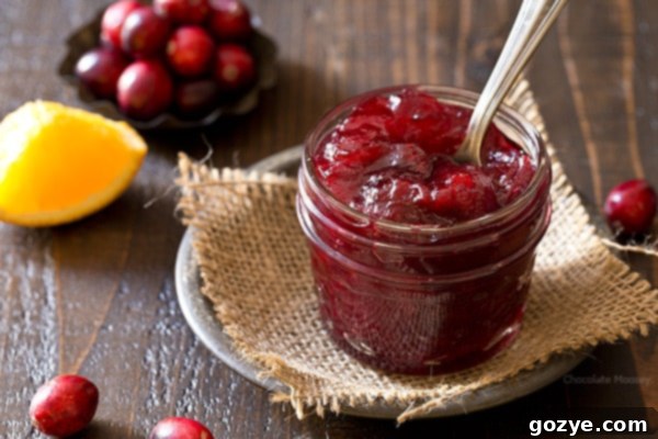 Fresh-Made Small Batch Cranberry Sauce 5 Homemade cranberry sauce with a serving spoon in a jar, rustic background