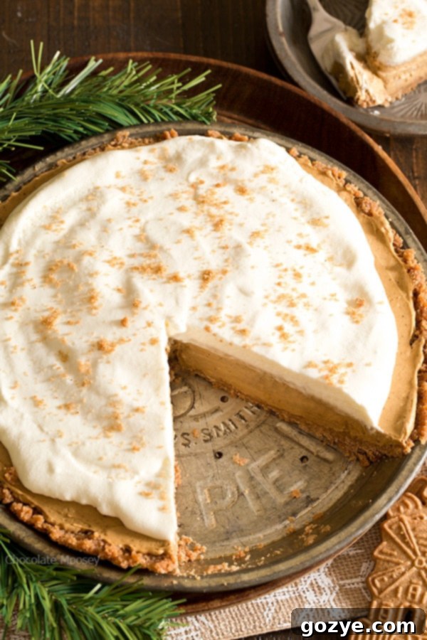 Overhead shot of the No Bake Gingerbread Pie, showing the intricate swirls of homemade whipped cream topping and the golden-brown cookie crust.
