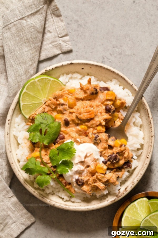 Close-up of warm and spicy Slow Cooker Salsa Chicken, perfectly portioned for a small serving and garnished with fresh cilantro and lime wedges, ready to be enjoyed over rice.