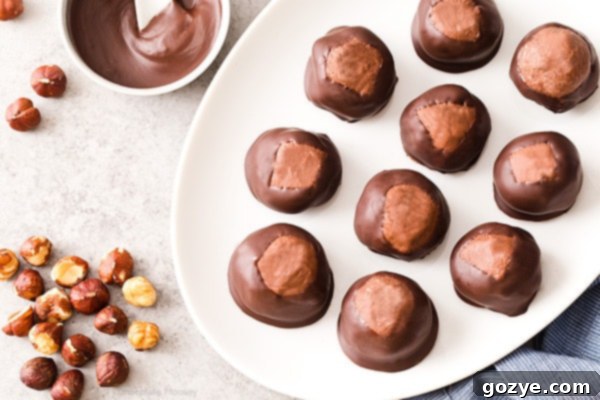 Hazelnut Cocoa Delights 4 Break away from tradition and serve these Chocolate Hazelnut Buckeyes at your next party! The filling is made with chocolate hazelnut spread, giving this sweet treat a double dose of chocolate.