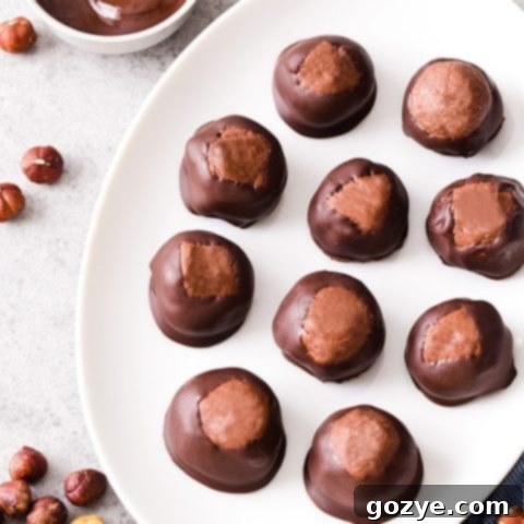 Hazelnut Cocoa Delights 5 Chocolate Hazelnut Buckeyes