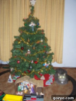 img 1776 2