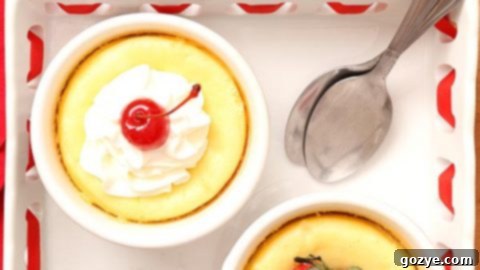 Cheesecake For Two - Mini Plain and Chocolate Cheesecake