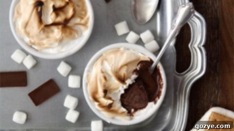 S'mores Baked Alaska For Two - Decadent Mini Dessert