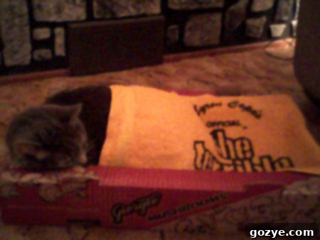 Murray enjoying the Superbowl in Pittsburgh