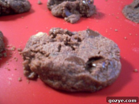Freshly baked World Peace Cookies
