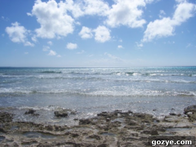 Tidal pools in San Salvador, Bahamas