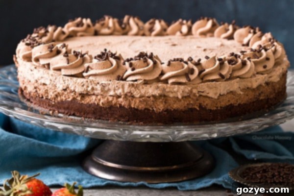 The best way to celebrate any milestone is with a triple chocolate cake: Brownie Bottom Chocolate Mousse Cake with chocolate whipped cream.