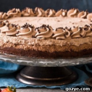 Brownie Bottom Chocolate Mousse Cake