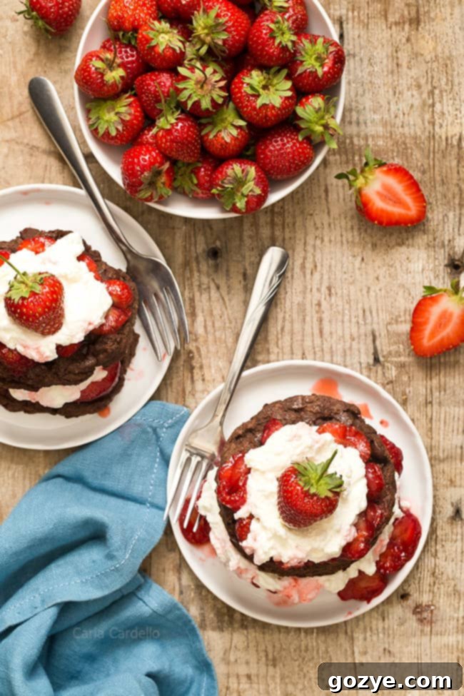 Chocolate strawberry dessert with shortcake