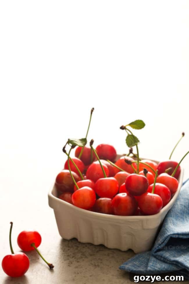 Pectin Free Small Batch Sour Cherry Jam 3 Freshly picked sour cherries in a bowl, ready to be processed for homemade cherry jam.