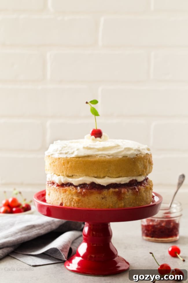 A two-layer 6-inch vanilla cake, unfrosted, showing its perfect golden brown layers ready for filling and frosting.