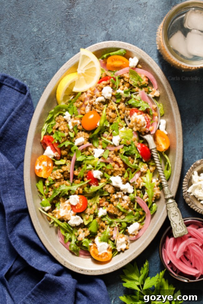 Another perspective of the Freekeh Salad, highlighting the fresh, wholesome ingredients and appealing presentation.