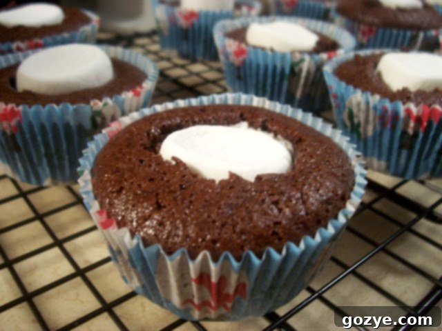 Mystery Chocolate Cupcakes 1 Freshly baked Chocolate Surprise Cupcakes with marshmallow peeking out