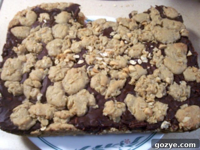 Close-up of the Chocolate Oatmeal Almost-Candy Bars, showing their chewy texture with visible oats, chocolate chunks, and raisins.
