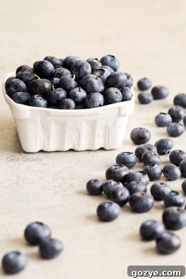 Fresh blueberries, a key ingredient for homemade yogurt popsicles.