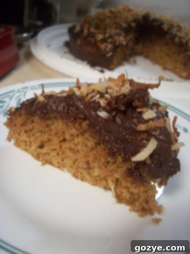 Gingerbread Coconut Cake with chocolate fudge frosting and toasted coconut