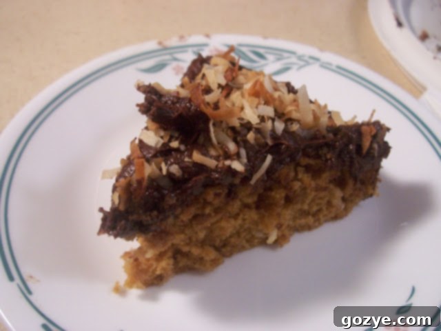 Top view of Gingerbread Coconut Cake with toasted coconut