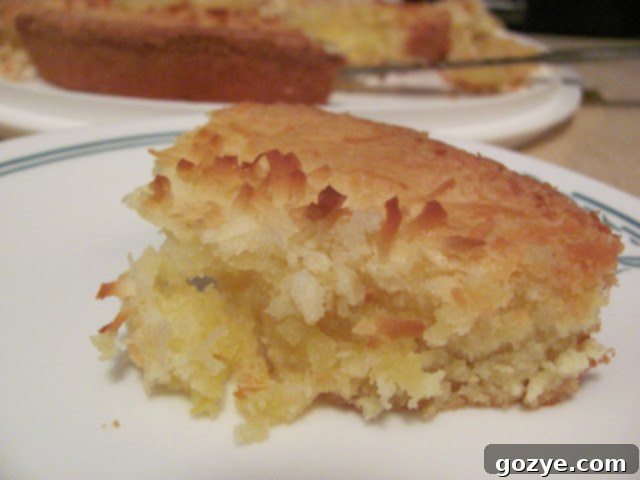 Chunk of Lemon Coconut Swedish Visiting Cake