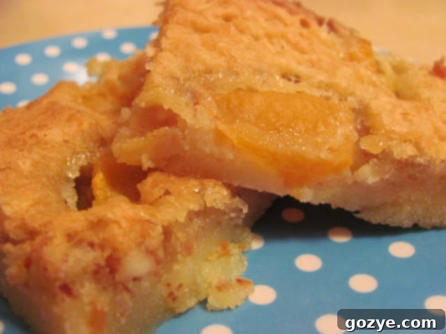 Freshly baked white chocolate brownies with apricots, ready to be enjoyed