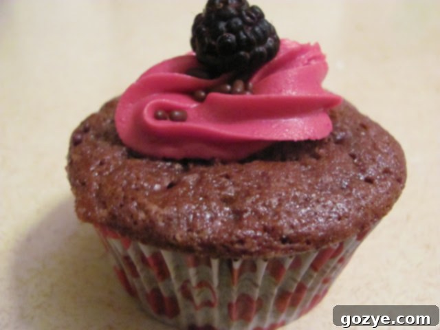 Freshly baked chocolate cupcakes filled with black raspberry curd