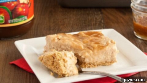 No Bake Apple Butter Cheesecake