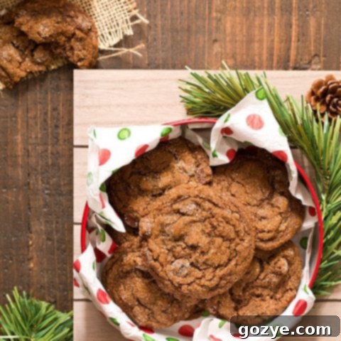 Soft and chewy Chocolate Gingersnap Cookies with chocolate chips and spices, the perfect holiday dessert.