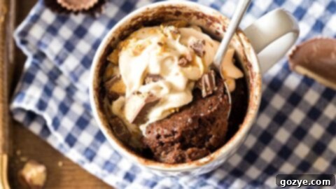 Chocolate Peanut Butter Mug Cake