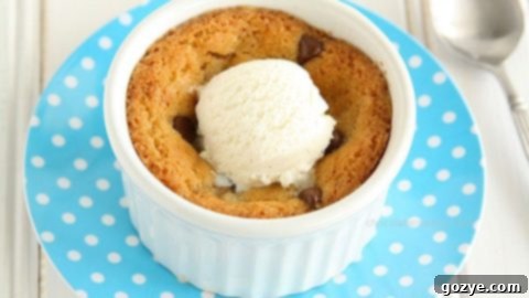 Single Serve Chocolate Chip Cookie