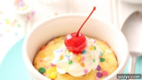 Single Serve Sugar Cookie