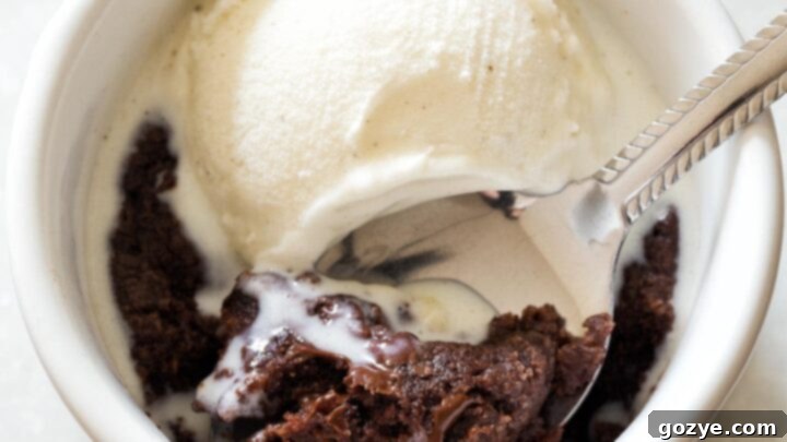 Microwave Brownie