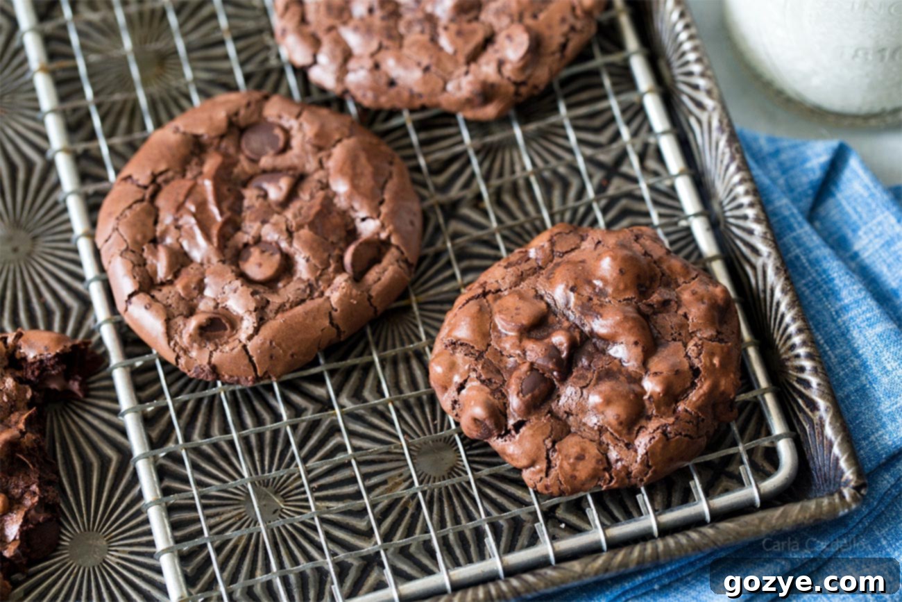 Small Batch Flourless Chocolate Cookies