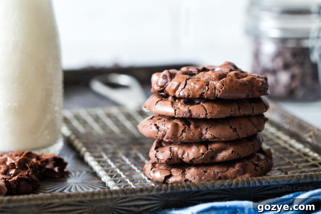 Chewy and Fudgy Small Batch Flourless Chocolate Cookies