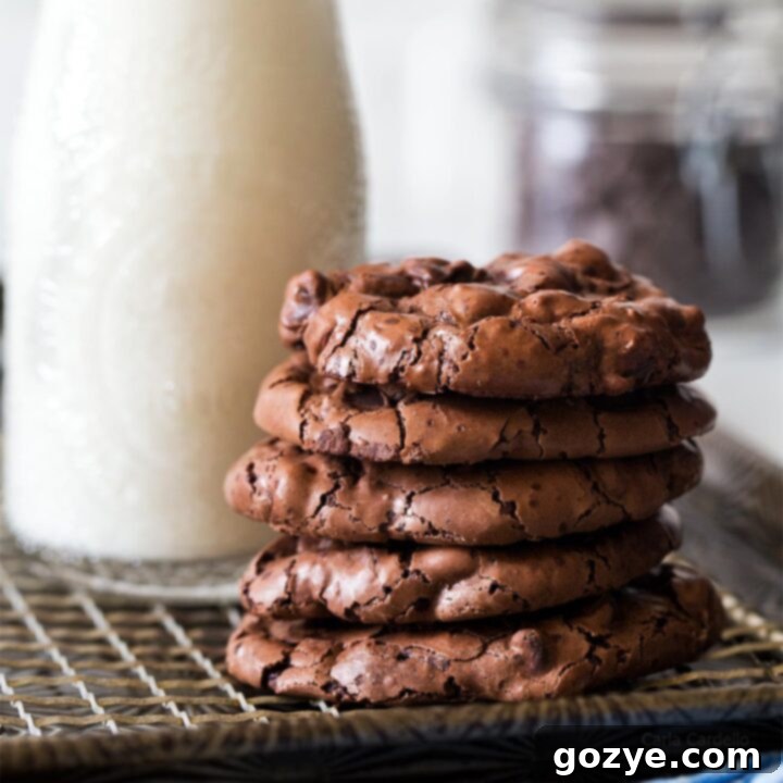 Chewy and Fudgy Small Batch Flourless Chocolate Cookies made with leftover egg white